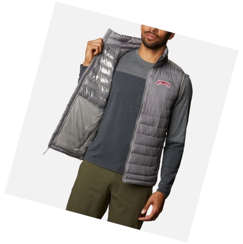 Columbia Collegiate Powder Lite - Washington State Yelek Erkek Gri | 61703-XPZU