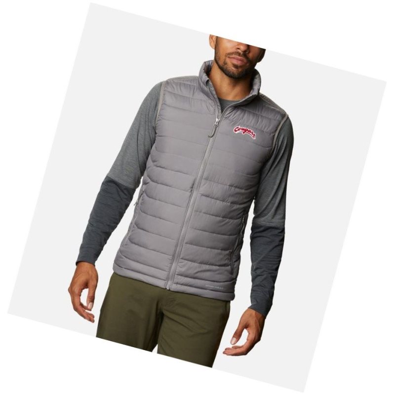 Columbia Collegiate Powder Lite - Washington State Yelek Erkek Gri | 61703-XPZU