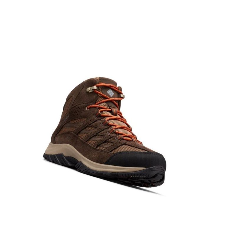 Columbia Crestwood Mid Waterproof Yürüyüş Botu Erkek Koyu Kahverengi | 45907-RQXB