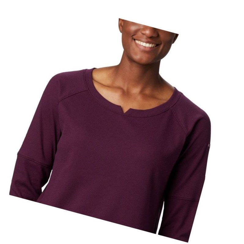 Columbia Fall Pine Washed Crew Sweatshirt Kadın Siyah Pembe | 98105-WQRB