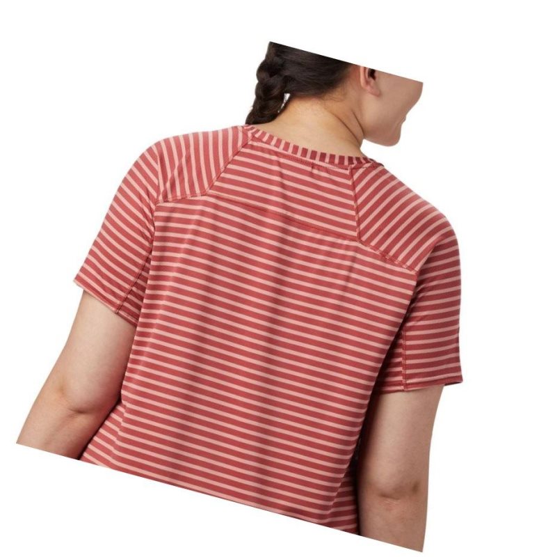 Columbia Firwood Camp II Short Sleeve Plus Size Tişört Kadın Kırmızı | 29054-YIJX