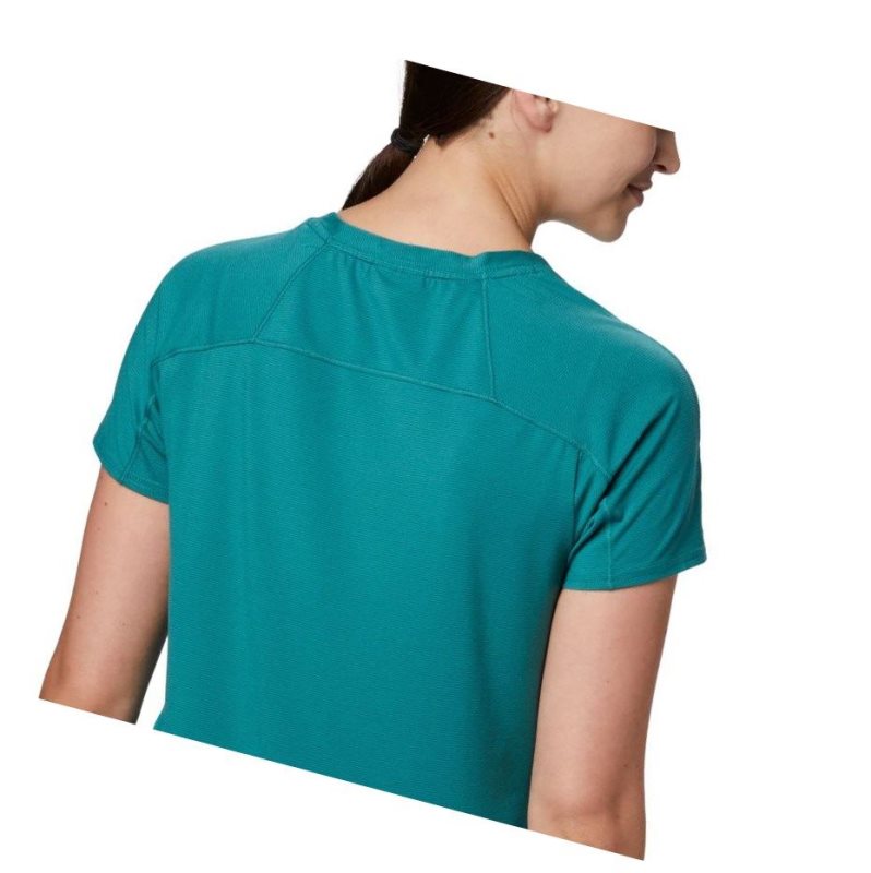 Columbia Firwood Camp II Short Sleeve Tişört Kadın Açık Yeşil | 16732-IYCJ