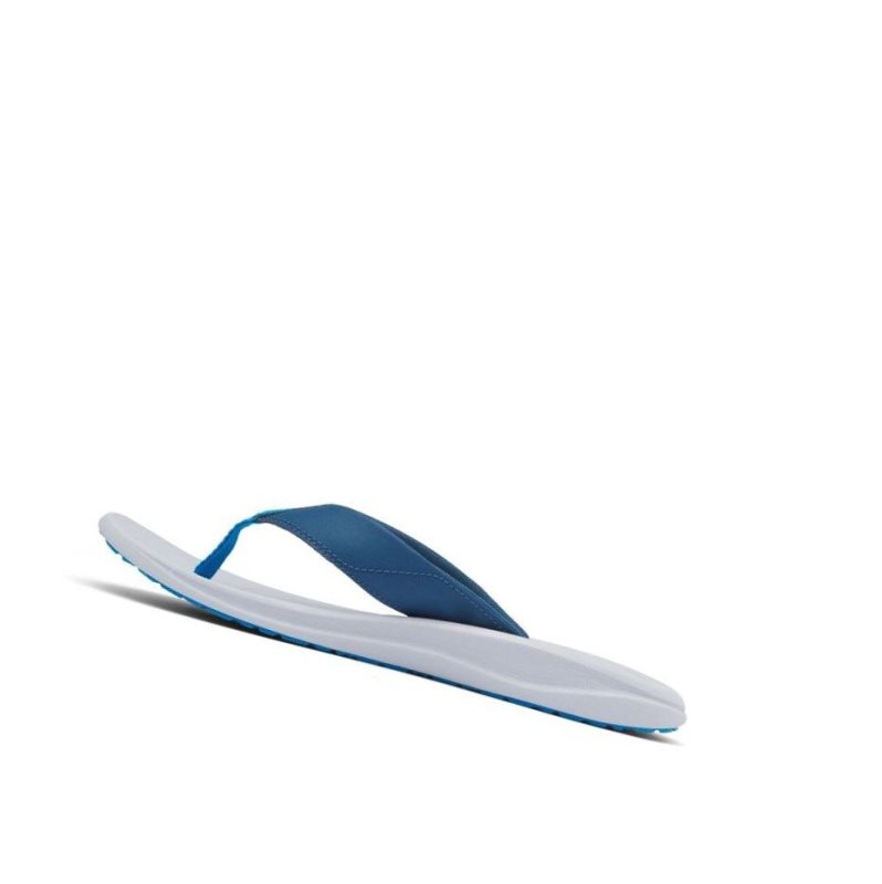 Columbia Flip Flop Terlik Erkek Mavi | 90168-WUNZ