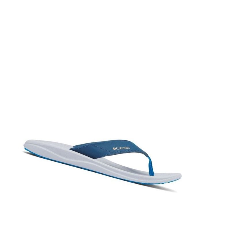 Columbia Flip Flop Terlik Erkek Mavi | 90168-WUNZ