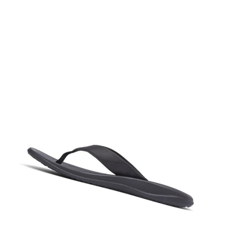 Columbia Flip Flop Terlik Erkek Siyah Gri | 59670-SKIG
