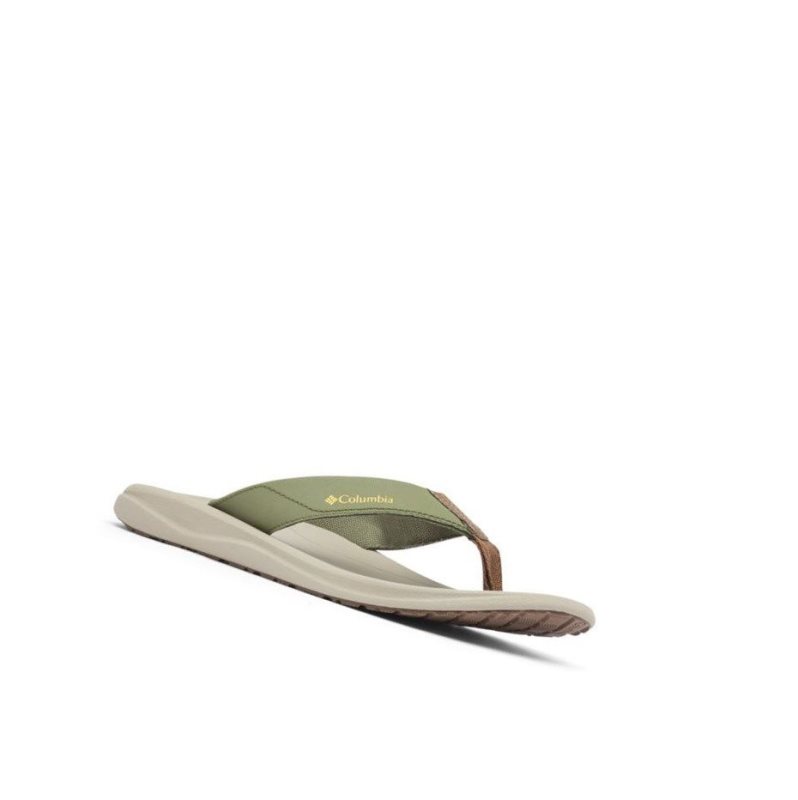 Columbia Flip Flop Terlik Erkek Yeşil Altın Sarı | 76294-IQTO