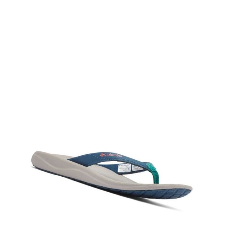 Columbia Flip Sandal Terlik Kadın Mavi Yeşil | 98423-XCQS
