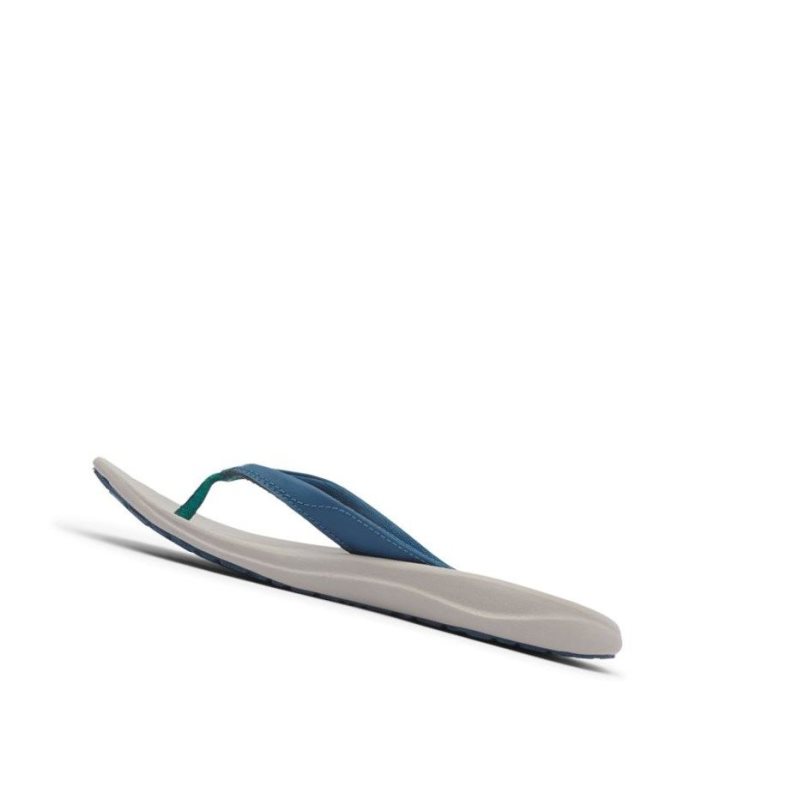 Columbia Flip Sandal Terlik Kadın Mavi Yeşil | 98423-XCQS