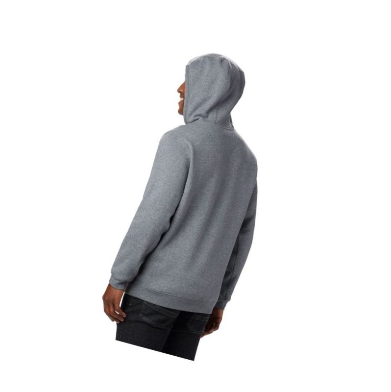 Columbia Hart Mountain Full Zip Kapşonlu Erkek Gri | 69807-QWLO
