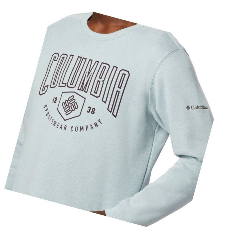 Columbia Hart Mountain Graphic Sweatshirt Erkek Mavi | 96054-YIEC