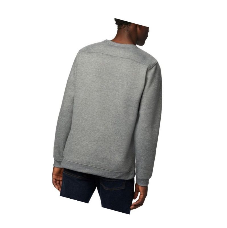 Columbia Hart Mountain Graphic Sweatshirt Erkek Gri | 27983-EIOQ
