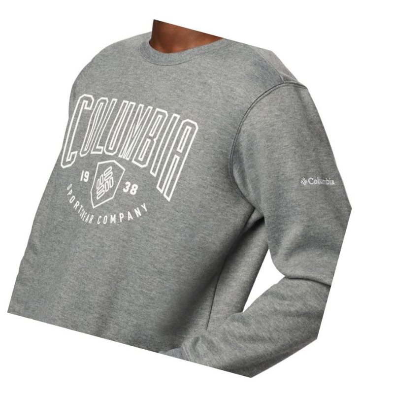 Columbia Hart Mountain Graphic Sweatshirt Erkek Gri | 27983-EIOQ