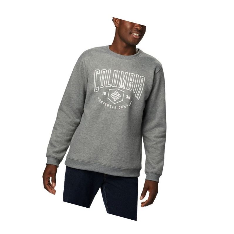 Columbia Hart Mountain Graphic Sweatshirt Erkek Gri | 27983-EIOQ