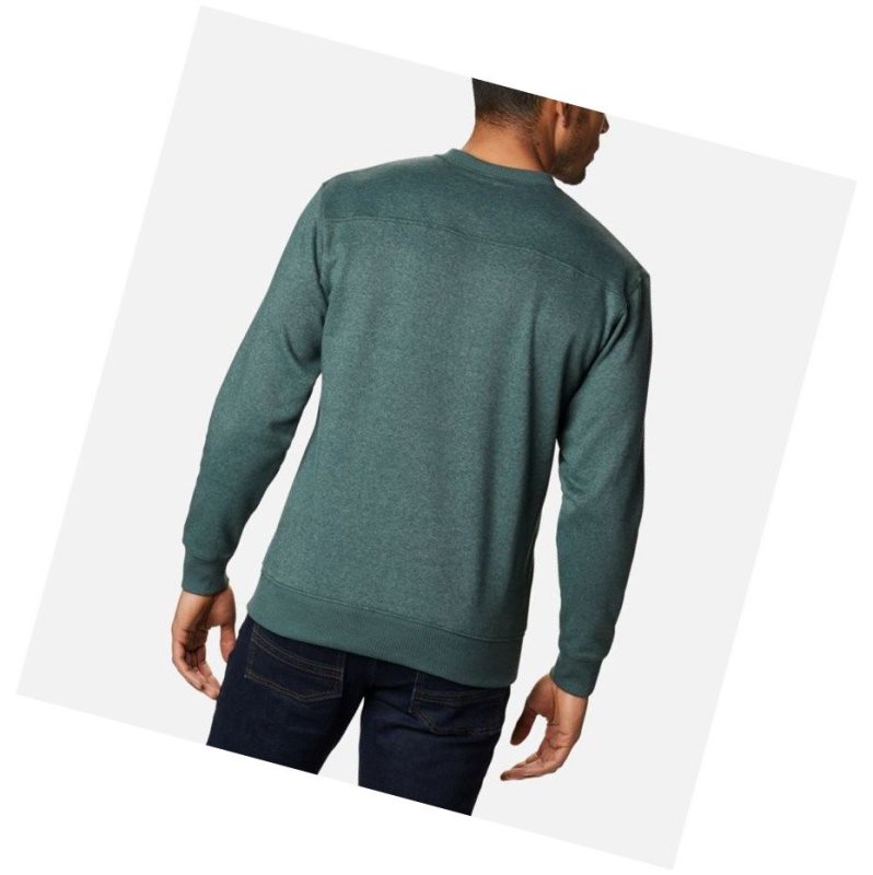 Columbia Hart Mountain II Crew Fleece Sweatshirt Erkek Yeşil | 24085-JHVK