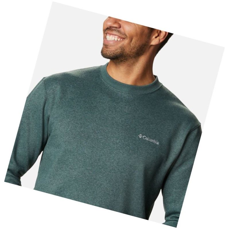 Columbia Hart Mountain II Crew Fleece Sweatshirt Erkek Yeşil | 24085-JHVK