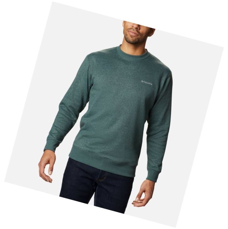 Columbia Hart Mountain II Crew Fleece Sweatshirt Erkek Yeşil | 24085-JHVK