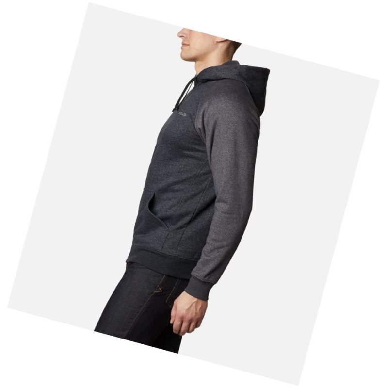Columbia Hart Mountain II Fleece Big Kapşonlu Erkek Siyah Koyu Gri | 24078-YRET