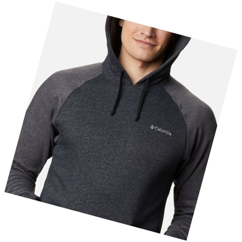 Columbia Hart Mountain II Fleece Big Kapşonlu Erkek Siyah Koyu Gri | 24078-YRET