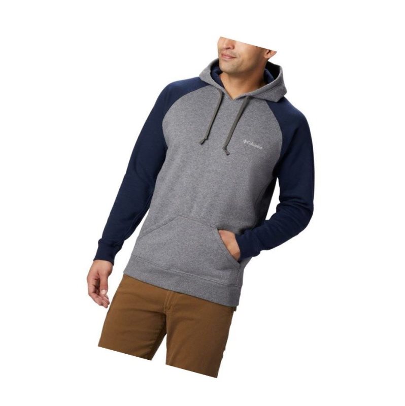 Columbia Hart Mountain II Fleece Kapşonlu Erkek Gri Lacivert | 71936-BIHP