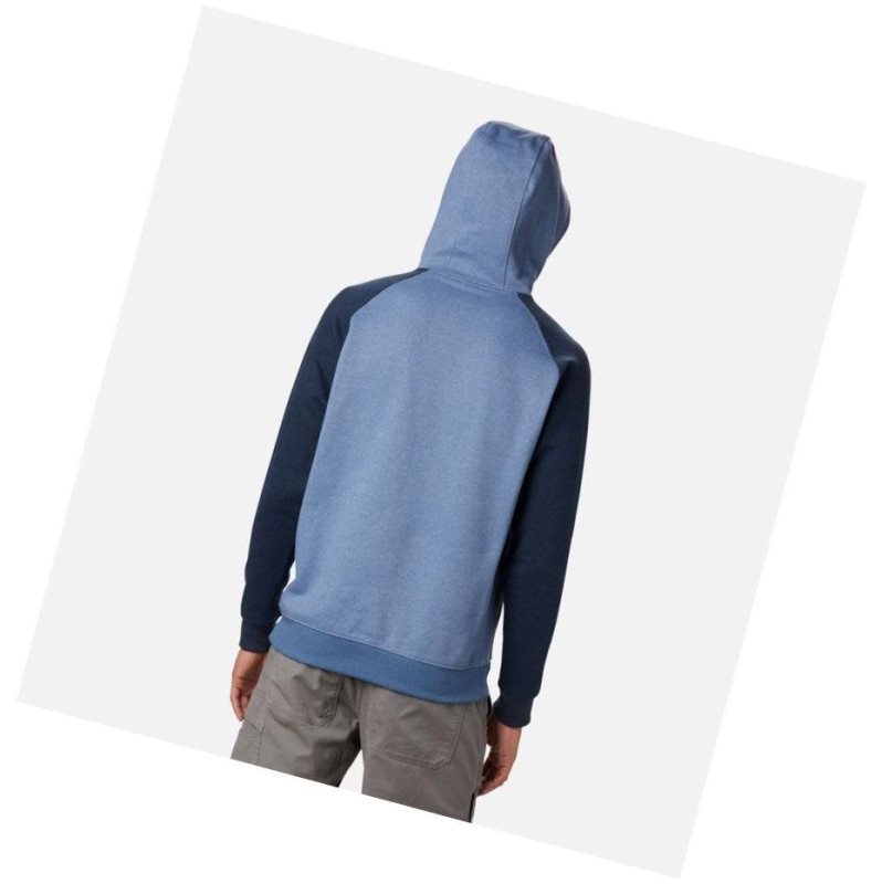 Columbia Hart Mountain II Fleece Kapşonlu Erkek Mavi Gri Lacivert | 18549-VKNC