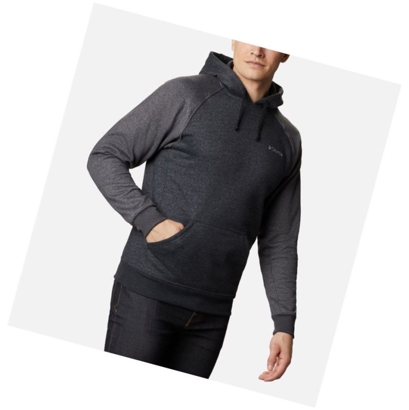 Columbia Hart Mountain II Fleece Kapşonlu Erkek Siyah Koyu Gri | 17653-WRGZ