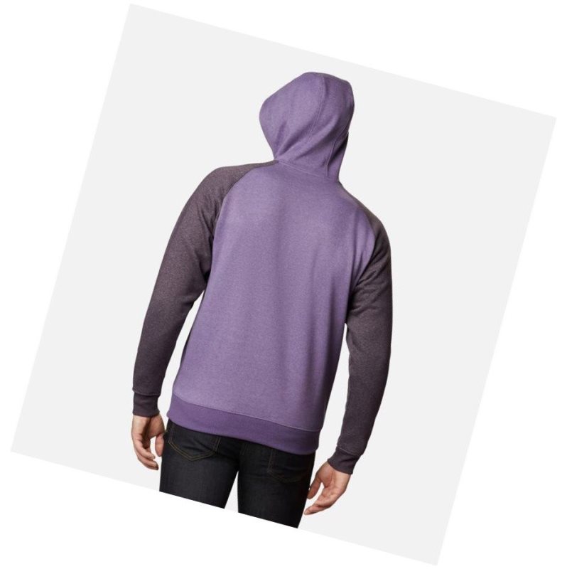 Columbia Hart Mountain II Fleece Tall Kapşonlu Erkek Mor | 67938-WAJB