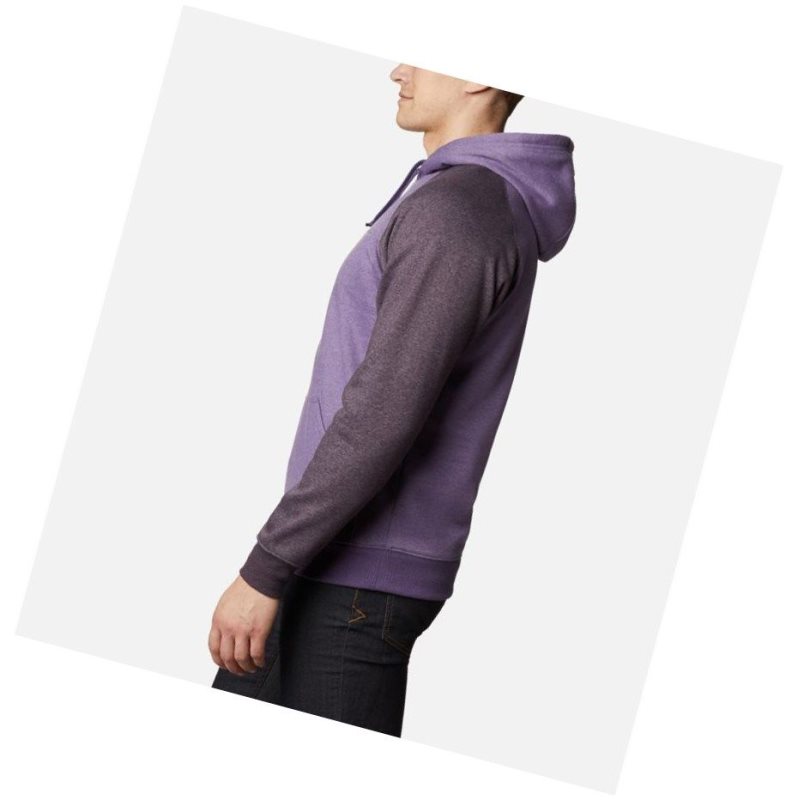 Columbia Hart Mountain II Fleece Tall Kapşonlu Erkek Mor | 67938-WAJB