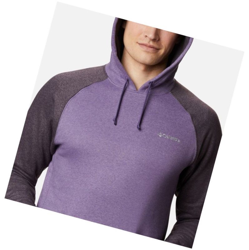 Columbia Hart Mountain II Fleece Tall Kapşonlu Erkek Mor | 67938-WAJB