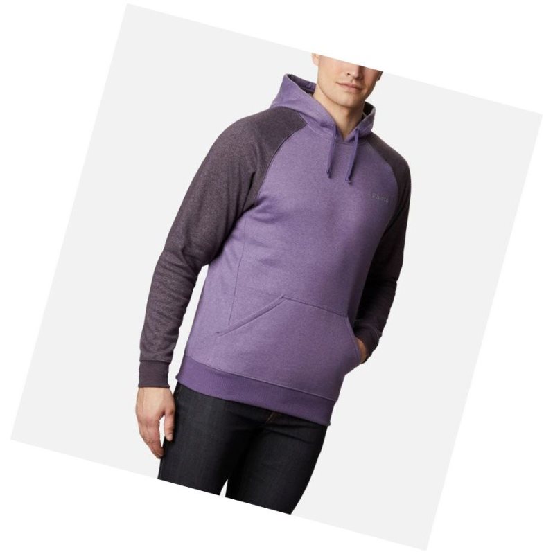 Columbia Hart Mountain II Fleece Tall Kapşonlu Erkek Mor | 67938-WAJB