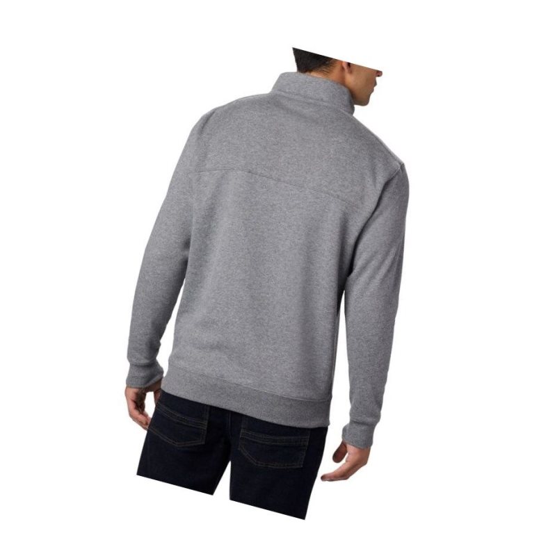 Columbia Hart Mountain II Half Zip Big Sweatshirt Erkek Gri | 54801-LFSZ