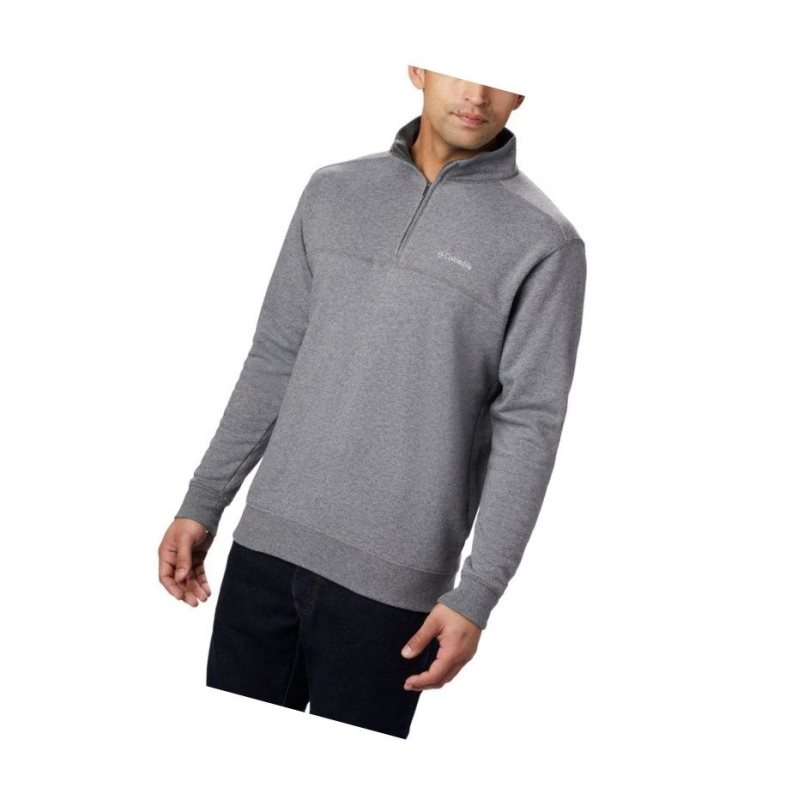 Columbia Hart Mountain II Half Zip Big Sweatshirt Erkek Gri | 54801-LFSZ