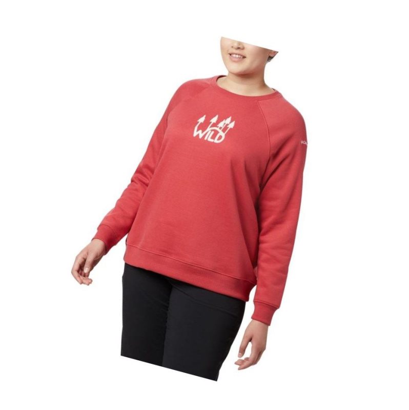 Columbia Hart Mountain Long Sleeve Graphic Crew Plus Size Sweatshirt Kadın Kırmızı | 03628-VCKS