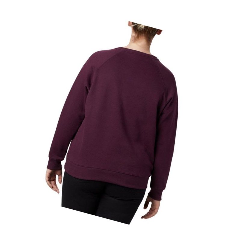 Columbia Hart Mountain Long Sleeve Graphic Crew Plus Size Sweatshirt Kadın Siyah Pembe | 87396-AFWP