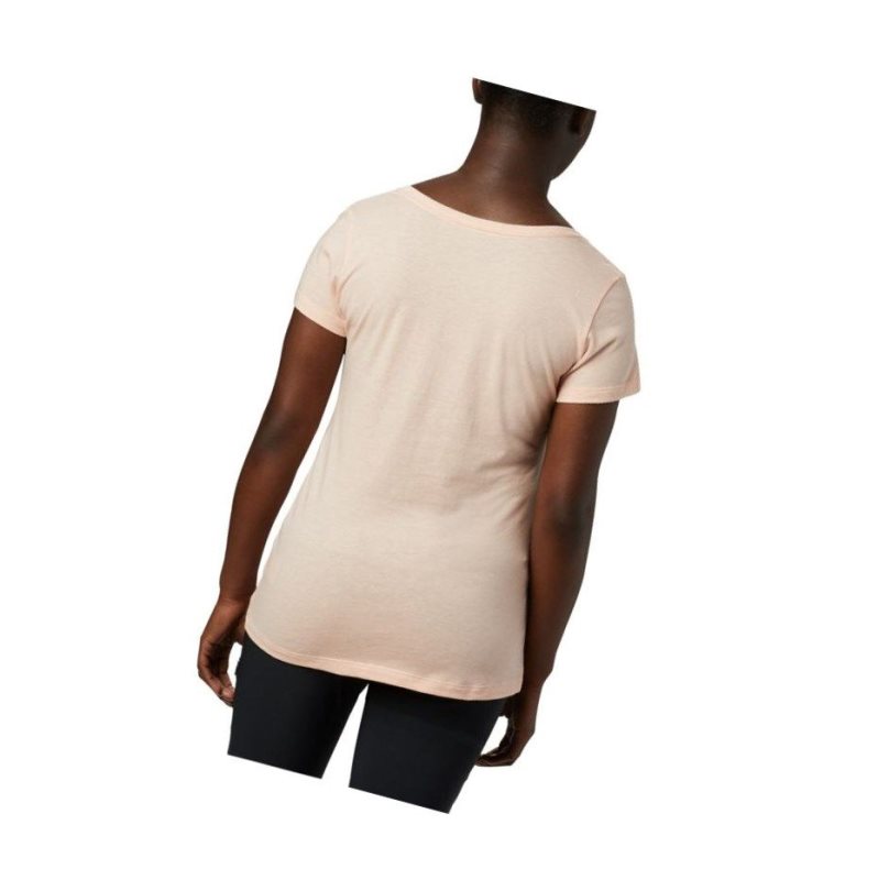 Columbia Hidden Lake V-Neck Tişört Kadın Pembe | 90215-TPNC