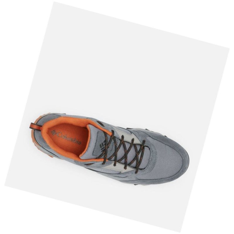 Columbia IVO Trail Waterproof Yürüyüş Ayakkabısı Erkek Gri | 39681-IBLQ