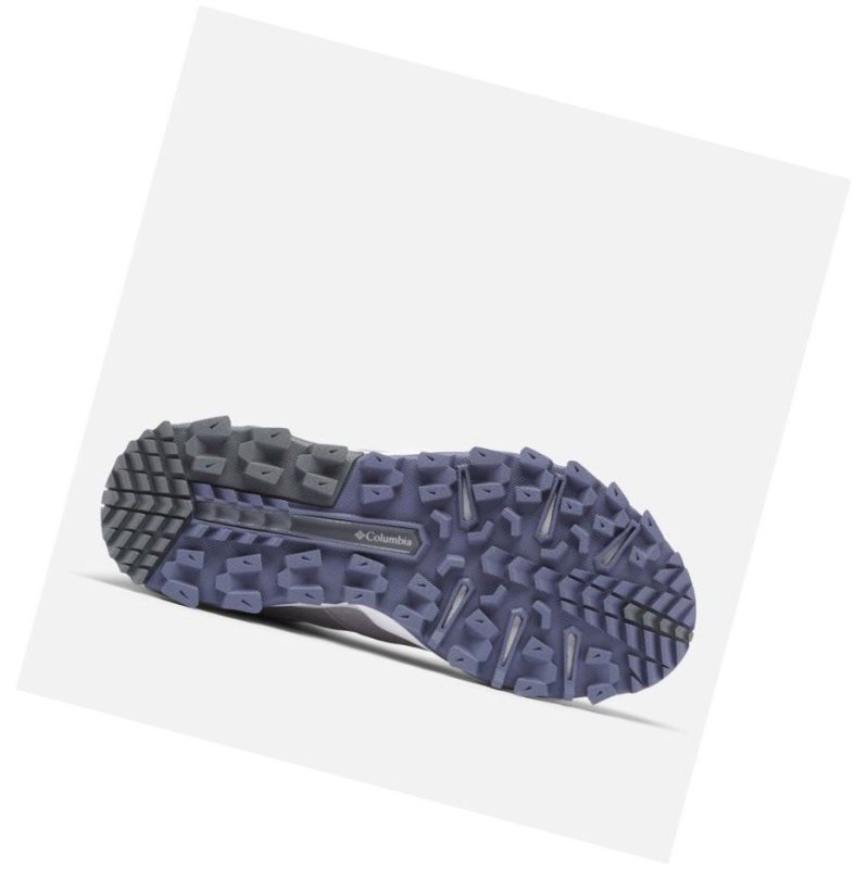 Columbia Ivo Trail Breeze Spor Ayakkabı Kadın Gri | 43502-IOAS