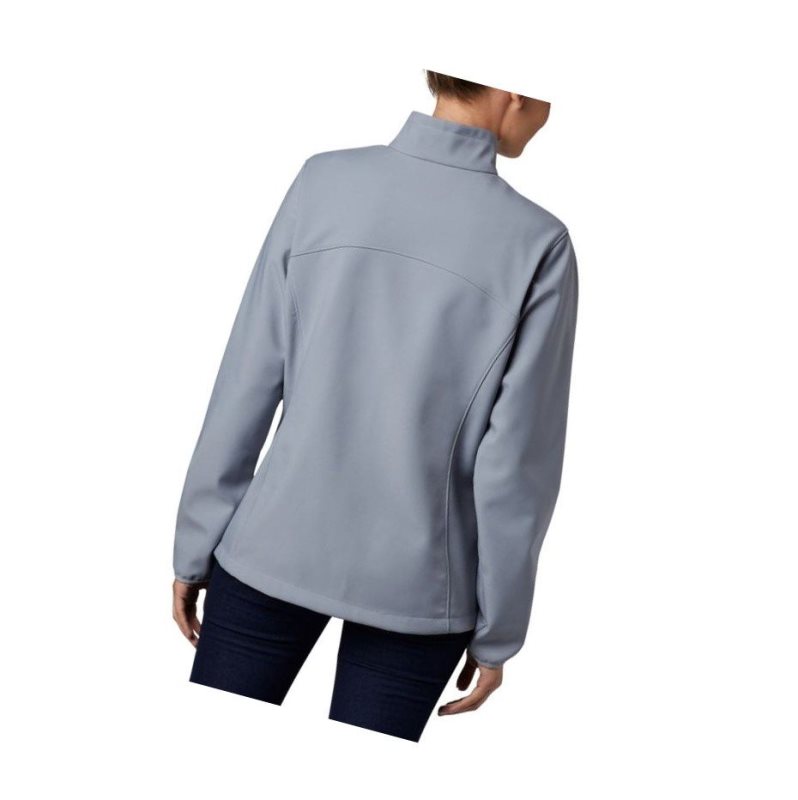 Columbia Kruser Ridge II Softshell Mont Kadın Gri | 51970-IXFY