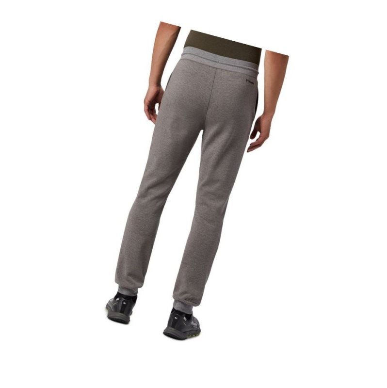 Columbia Lodge Double Knit Jogger Pantolon Erkek Gri | 29036-RMUN