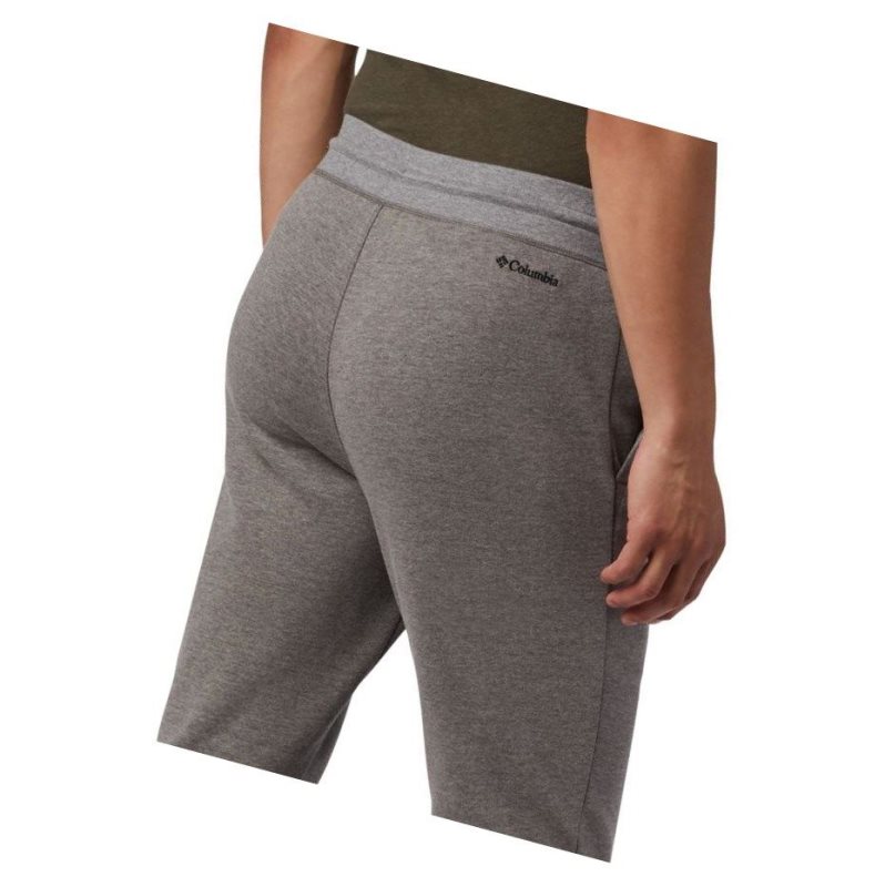Columbia Lodge Double Knit Jogger Pantolon Erkek Gri | 29036-RMUN