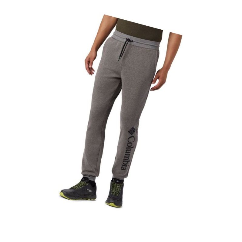 Columbia Lodge Double Knit Jogger Pantolon Erkek Gri | 29036-RMUN