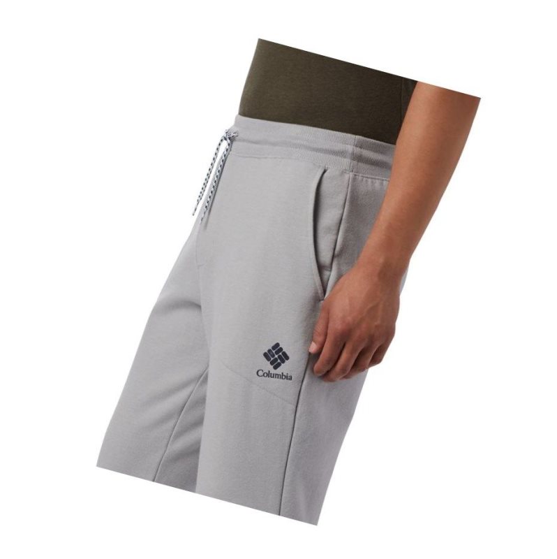 Columbia Lodge II Jogger Pantolon Erkek Gri | 63428-AJSI
