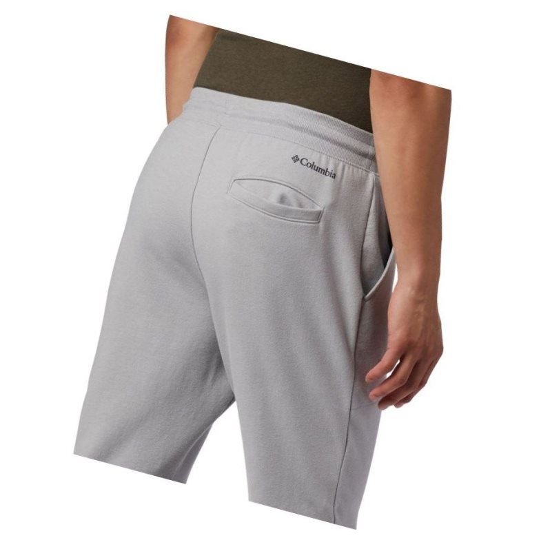 Columbia Lodge II Jogger Pantolon Erkek Gri | 63428-AJSI