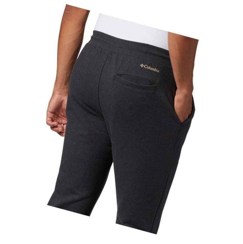 Columbia Lodge II Jogger Pantolon Erkek Koyu Gri | 29036-MPHS