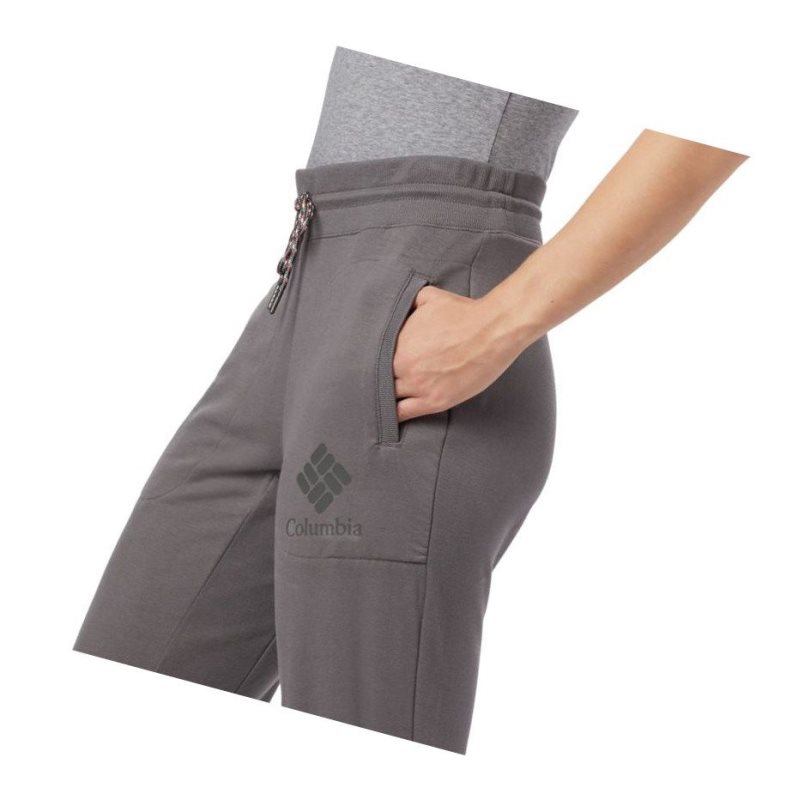 Columbia Lodge Jogger Pantolon Kadın Gri | 46531-CXFZ