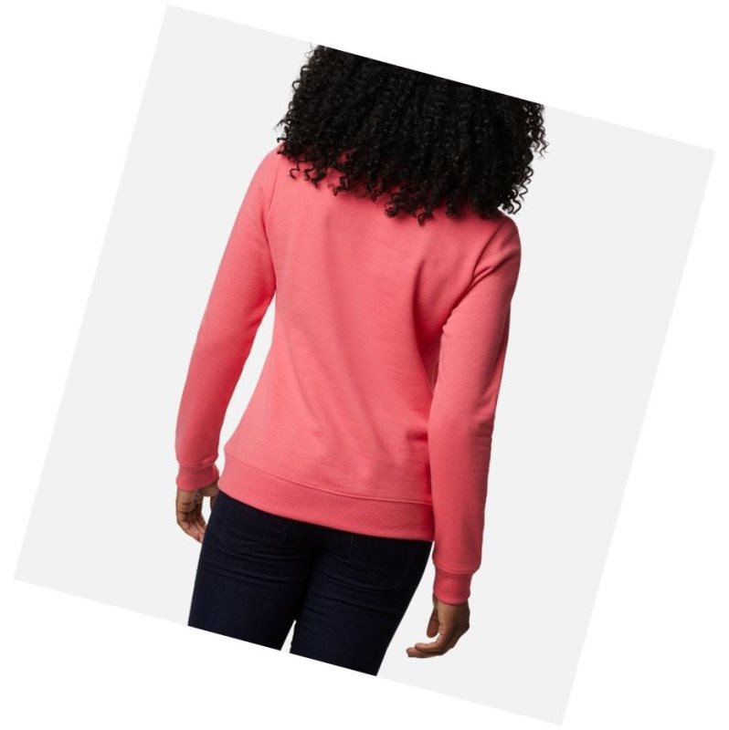 Columbia Logo Crew Top Sweatshirt Kadın Açık Pembe | 49632-FIEK
