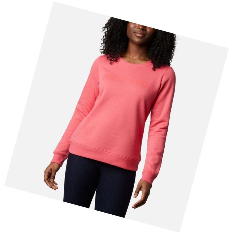 Columbia Logo Crew Top Sweatshirt Kadın Açık Pembe | 49632-FIEK