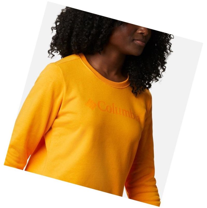 Columbia Logo Crew Top Sweatshirt Kadın Açık Altın | 35470-DVOA