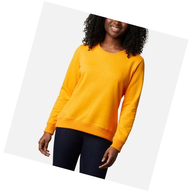 Columbia Logo Crew Top Sweatshirt Kadın Açık Altın | 35470-DVOA