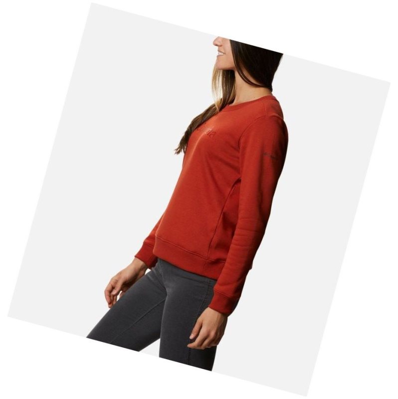Columbia Logo Crew Top Sweatshirt Kadın Bordo | 24703-STFM