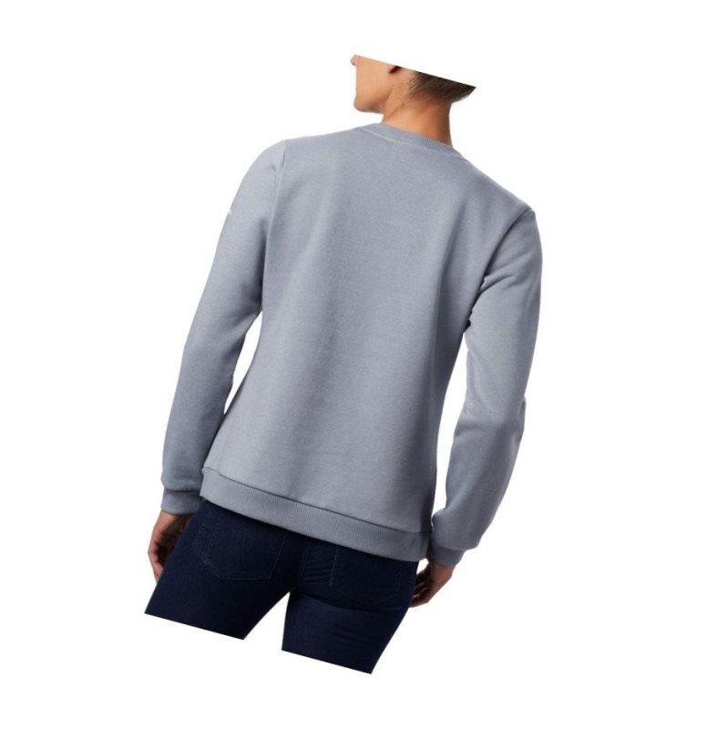 Columbia Logo Crew Top Sweatshirt Kadın Gri | 59672-TRBK